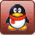 QQ: 979303204
