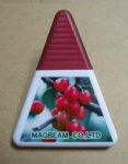 Magnetic Clip