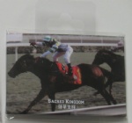 Tin Photo magnet