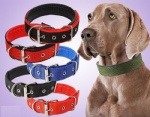 Pet collar